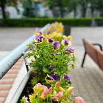 アパート Comfort 2 65m2 ワルシャワ