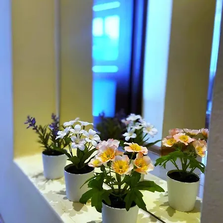 Comfort 2 65m2 דירה ורשה