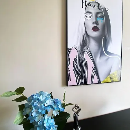 Apartment Comfort 2 65m2