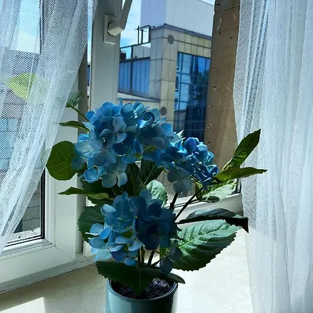 Apartment Comfort 2 65m2 Warschau