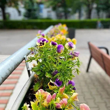 Apartment Comfort 2 65m2 Warschau