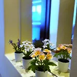 Comfort 2 65m2 Appartamento Varsavia